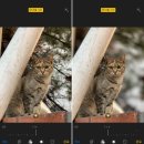 스마트폰 영상편집(야간) | 스마트폰 카메라에도 숨겨진 기능이 있다?! - 모르는 사람이 많은 유용한 카메라 기능 소개