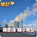해운대 해수욕장 2026 개장! 삼남매와 다녀온 부산 아이랑 나들이 후기