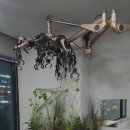 조이미용실 이미지