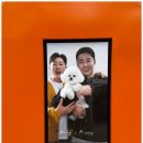 행복한 강아지 이미지