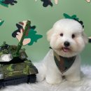 반야시스터 이미지