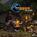 어떤나무K | 캠핑장작 추천 자작나무장작 통나무 장작 화로 아홉산-필수 감성 캠핑 용품 후기
