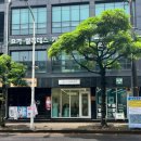 서귀포네일 추천 브리에네일 6월의 아트 후기 ✅ 색상 변경 대만족 🤍