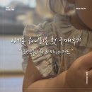 신세계백화점센텀시티 | 워니리본 신세계백화점 센텀시티 팝업 구매후기