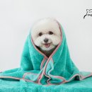 더블엠컴퍼니