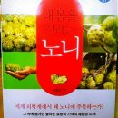 노니노니
