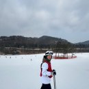 강호 해솔 태권도 이미지