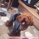 몰리스 놀이터/호텔 이미지