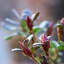 고막농장 이미지