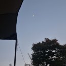 1202 김나윤 효사랑 실천 이미지
