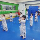 경희대 나우 태권도 도장 | 친구와 함께 성장하는 태권도 - 부천 중동 경희대 박사 현대 태권도장