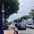 린타이마트 | 다낭 또 갔다낭 뭐라낭