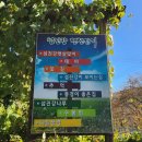 섬진강이 보이는 집 이미지