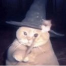 일본&일본문화 | 한일커플이 말하는 한국 vs 일본 연애 문화 차이(직접 겪어본 후기)