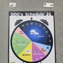 헬로우, 마루네 애견운동장 이미지