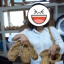 마산2리 이미지