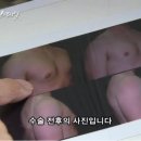 [sbs스페셜] SBS 환경 호르몬의 습격 - 제 2부 현재시각 11시 55분 (생리통에 이은 2부긔~) 이미지