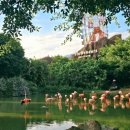 하나로카랜드 | 나트랑 빈원더스 지도 및 입장권 가격 비교 빈펄랜드 놀이기구 등 후기