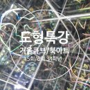 FunFun북아트 이미지