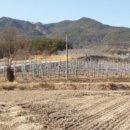 거창군웅양면하성보건진료소 이미지