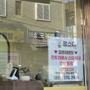 멍스터 | 봉선동 애견미용실 <멍스터> 내돈내산