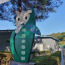문수국제양궁장(평일,하절기) | 울산애견운동공원 강아지가 자유롭게 뛰어놀 수 있는 애견운동장 수영장까지