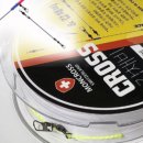 노트로담 이미지