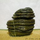 고탄교아래 Daum카페