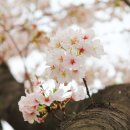 지곡유원지 이미지