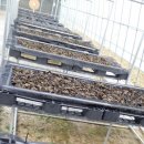 호영농장 이미지