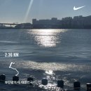 지에스25 뉴신촌행복 | 광화문 직장인의 반짝이던 12월| 광화문 직장인의 겨울 기록