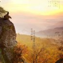 천리유통 | 마음을 바꾸는 위인들의 한마디 54 - 길을 잃지 않았으면.. - 명언 한 알