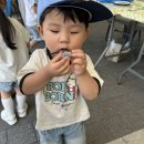 아이들과 다녀온 에코그린데이! 환경도 배우고 체험도 하고