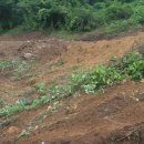 순환농장 이미지