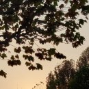 최용우한의원 이미지