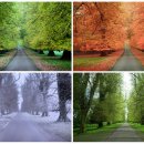 사계절 이미지
