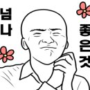 브라운시그널포유어레스트