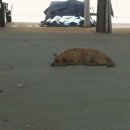 27투어 이미지