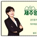 제주드림공인중개사사무소 이미지