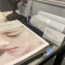 💎 강남속눈썹 티나스타일 강남본점 클래식 연장 11~12mm 다크브라운 CC컬 후기