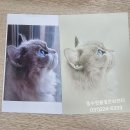 색연필디자인화 이미지