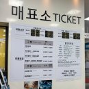카페달눈 | 여름휴가 제천 1박2일 가볼만한곳 : 능강계곡 청풍호반케이블카 의림지 후기