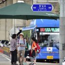 그늘막15 이미지