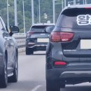 ‘극한초보’, ‘살려주세요’… 웃음 상품 된 안전운전 스티커 이미지