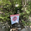 지리산구름정원 | 지리산 노고단 등산 후기 l 초보자도 오르기 좋은 노고단
