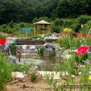 꽃 뜨락 이미지