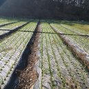 무안수퍼 이미지