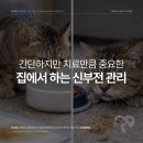 심동물병원 이미지