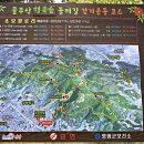제442차(2020년 6월 21일 08시 출발) 전남 영광 물무산 행복숲길 산행 안내 이미지