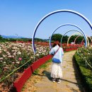 장미공원자전거대여소 이미지